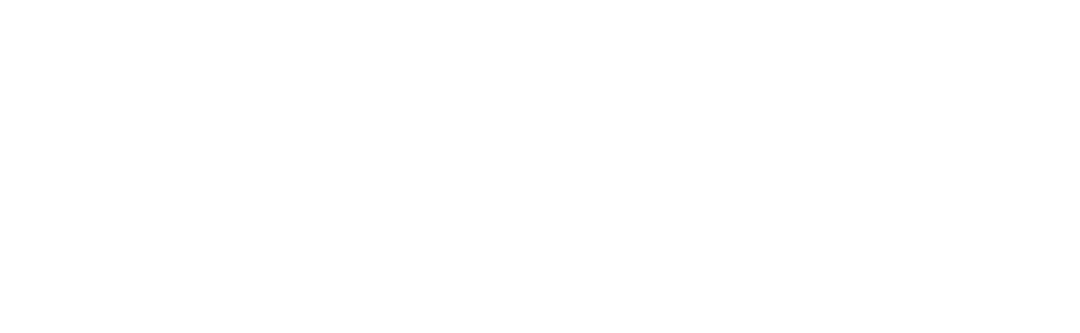 GetGo Logo Negative